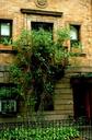 Another great apartment front in Harlem.